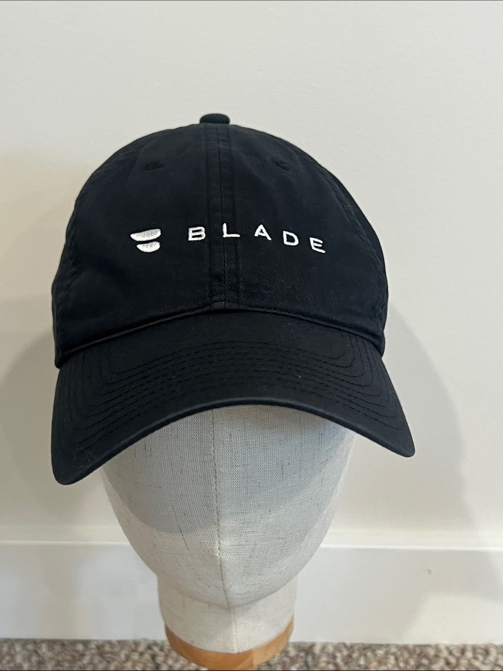 NIKE GOLF BLADE Everywhere Hat